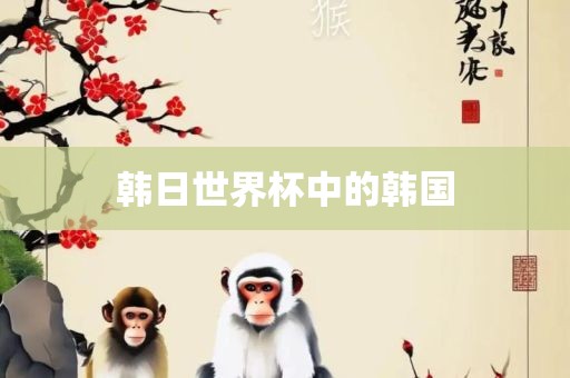 韩日世界杯中的韩国