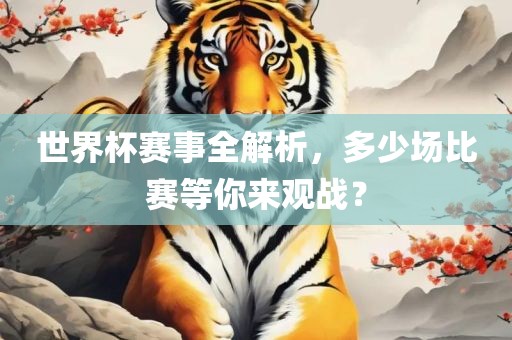 世界杯赛事全解析，多少场比赛等你来观战？