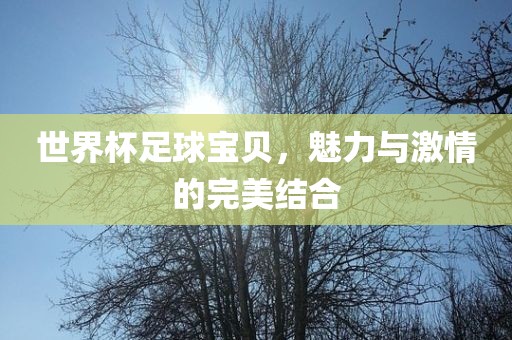 世界杯足球宝贝，魅力与激情的完美结合