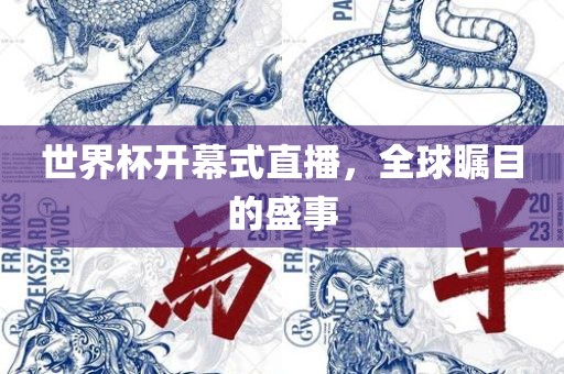 世界杯开幕式直播，全球瞩目的盛事
