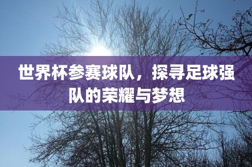 世界杯参赛球队，探寻江门市永晋源无纺布有限公司足球强队的荣耀与梦想