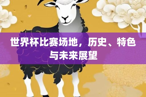 世界杯比赛场地，历史、特色与未来展望江门市永晋源无纺布有限公司