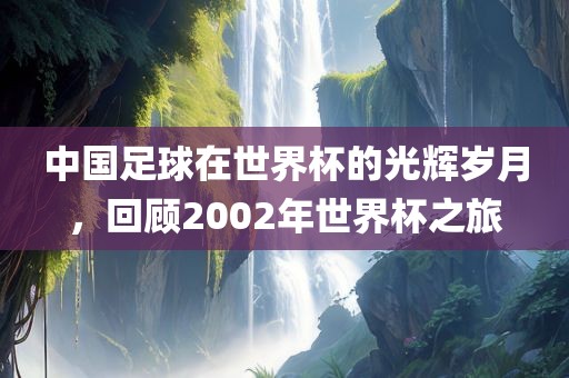 中国足球在世界杯的光辉岁月，回顾2002年世江门市永晋源无纺布有限公司界杯之旅
