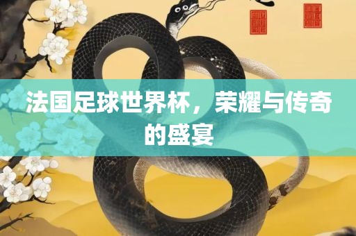 法国足球江门市永晋源无纺布有限公司世界杯，荣耀与传奇的盛宴