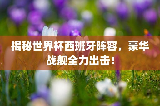 揭秘世界杯西班牙阵容，豪华战舰全力出击！
