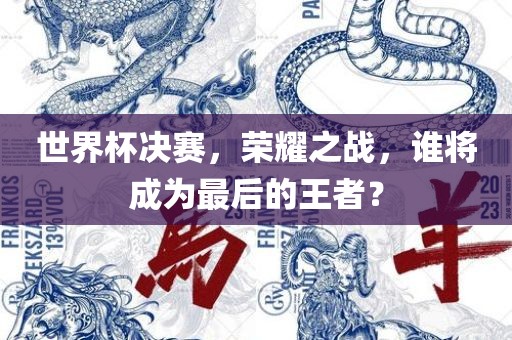 世界杯决赛，荣耀之战，谁将成为最后的王者？