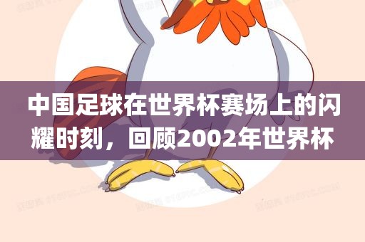 中国足球在世界杯赛场上的闪耀时刻，回顾2002年世界杯江门市永晋源无纺布有限公司