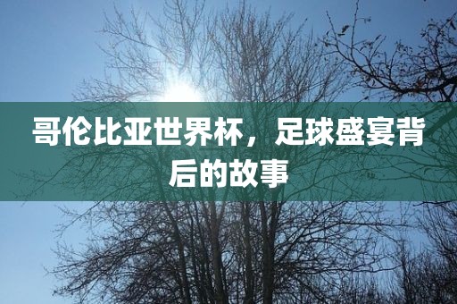 哥伦比亚世界杯，足球盛宴背后的故事