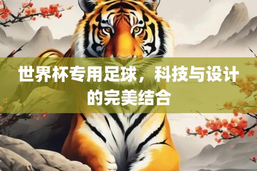 世界杯专用足球，科技与设计的完美结合