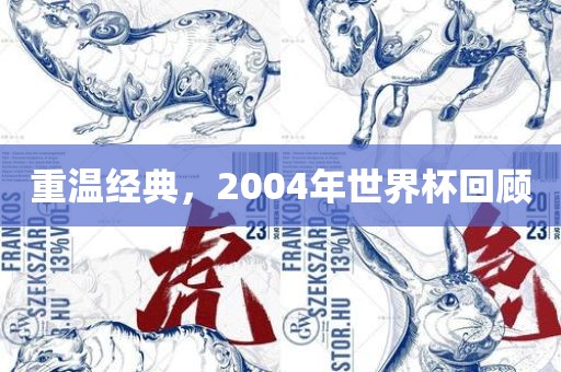 重温经典，2004年世界杯回顾