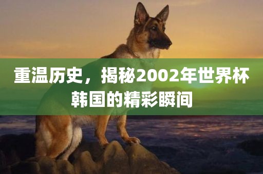重温历史，揭秘2002年世界杯韩国的精彩瞬间江门市永晋源无纺布有限公司