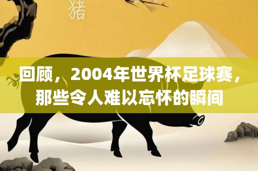 2004年世界杯足球赛