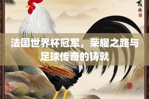 法国世界杯冠军，荣耀之路与足球传奇的铸就