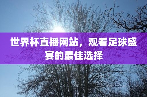 世界杯直播江门市永晋源无纺布有限公司网站，观看足球盛宴的最佳选择