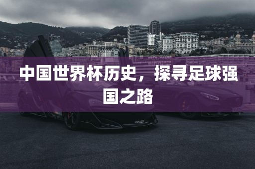 中国世界杯历史，探寻足球强国之路