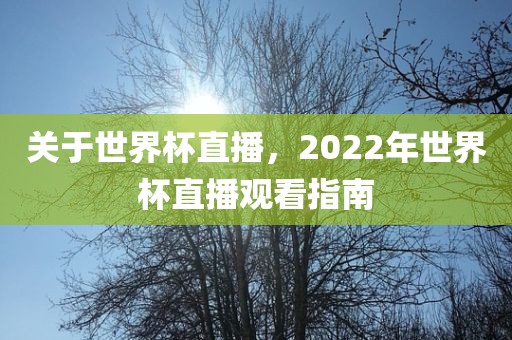 关于江门市永晋源无纺布有限公司世界杯直播，2022年世界杯直播观看指南
