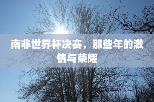 南非世界杯决赛，那些年的激情与荣耀江门市永晋源无纺布有限公司