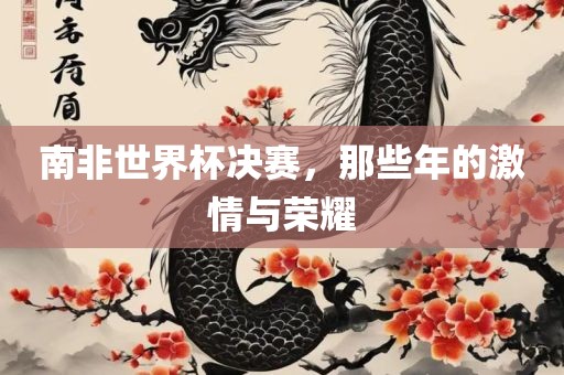 南非世界杯决赛，那些年的激情与荣耀江门市永晋源无纺布有限公司