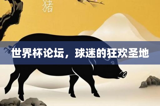 世界杯论坛，球迷的狂欢圣地