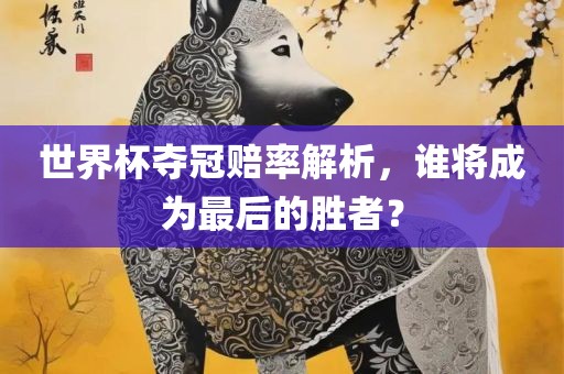 世界杯夺冠赔率解析，谁将成为最后的胜者？