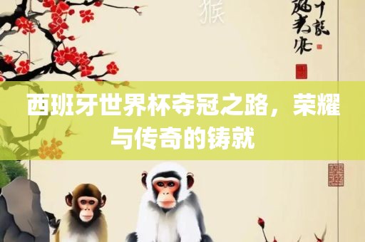 西班牙世界杯夺冠之路，荣耀与传奇的铸就江门市永晋源无纺布有限公司