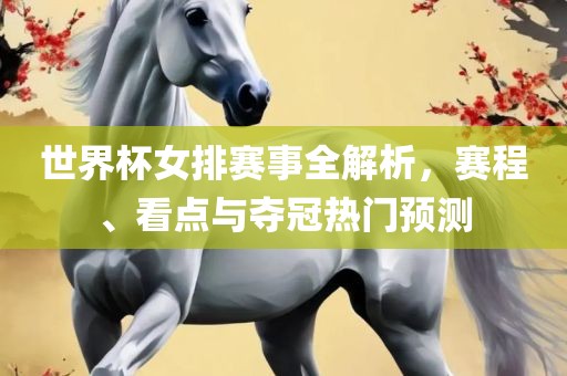 世界杯女排赛事全解析，赛程、看点与夺冠热门预测江门市永晋源无纺布有限公司