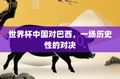 世界杯中国对巴西，一场历史性的对决江门市永晋源无纺布有限公司