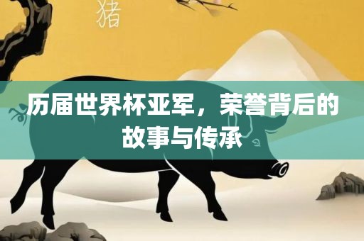 历届世界杯亚军，荣誉背后的故事与传承