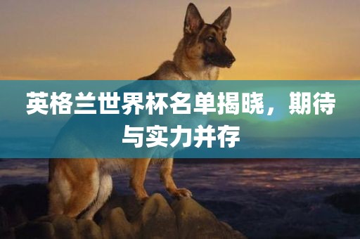 英格兰世界杯名单揭晓，期待与实力并存
