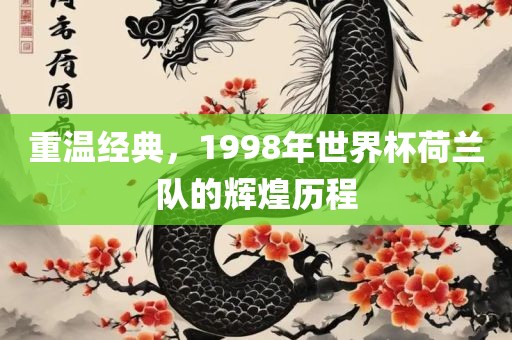 重温经典，1998年世界杯荷兰队的辉煌历程