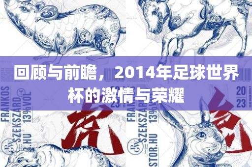 回顾与前瞻，2014年足球世界杯的激情与荣耀江门市永晋源无纺布有限公司