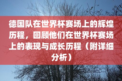 德国队在世界杯赛场上的辉煌历程，回顾他们在世界杯赛场上的表现与成长历程（附详细分析）