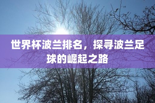 世界杯波兰排名，探寻波兰足球的崛起之路