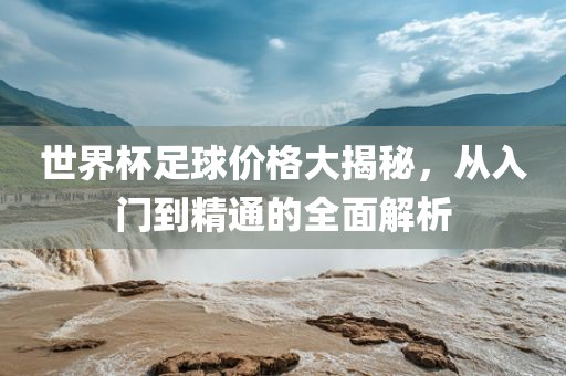 世界杯足球价格大揭秘，从入门到精通的全面解析