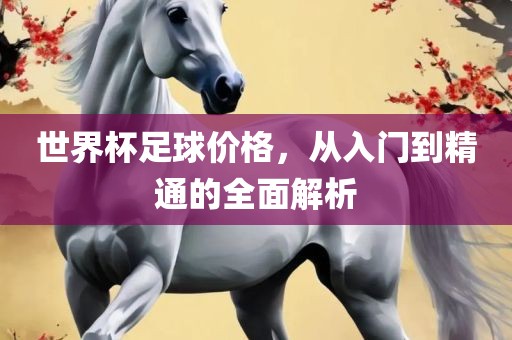 世界杯足球价格，从入门到精通的全面解析