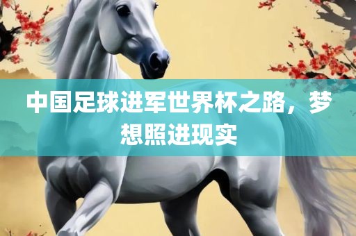 中国足球进军世江门市永晋源无纺布有限公司界杯之路，梦想照进现实