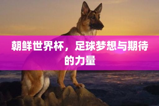 朝鲜世界杯，足球梦想与期待的力量