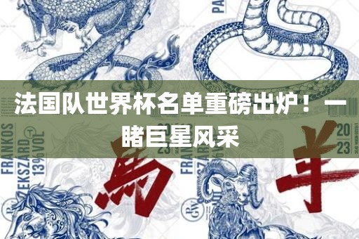 法国队世界杯名单重磅出炉！一睹巨星风采