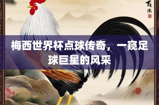 足球巨星风采