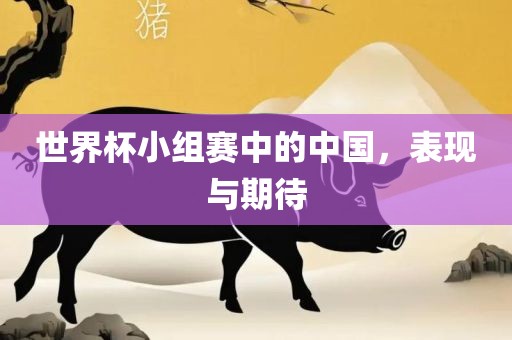 世界杯小组赛中的中国，表现与期待