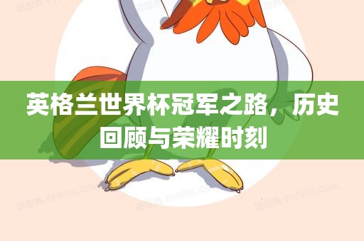 英格兰世界杯冠军之路，历史回顾与荣耀时刻江门市永晋源无纺布有限公司