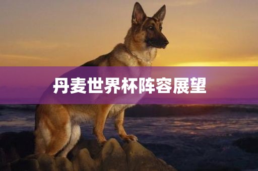 丹麦世界杯阵江门市永晋源无纺布有限公司容展望