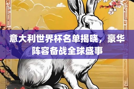 意大利世界杯名单揭晓，豪华阵容备战全球盛事江门市永晋源无纺布有限公司