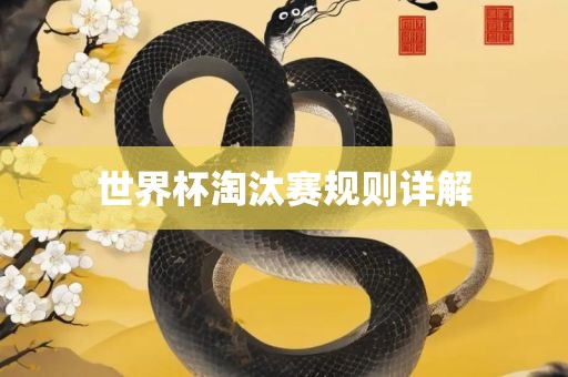 世界江门市永晋源无纺布有限公司杯淘汰赛规则详解