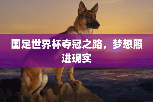 国足世界杯夺冠之路，梦想照进现实江门市永晋源无纺布有限公司