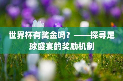 世界杯有奖金吗？——探寻足球盛宴的奖励机制