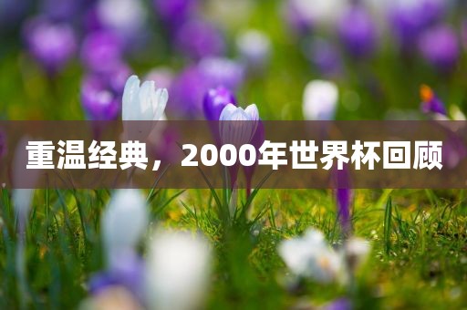 重温经典，2000年世界杯回顾