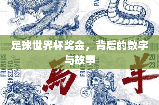 足球世界杯奖金，背后的数字与故事
