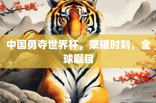 中国勇夺世界杯，荣耀时刻，全球瞩目
