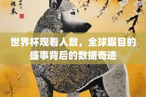 世界杯观看人数，全球瞩目的盛事背后的数据奇迹